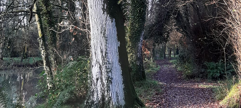 path2